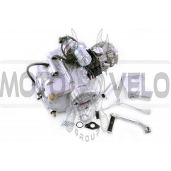 Двигатель   Delta, Activ 110cc   (АКПП 152FMH)   (TM)   EVO