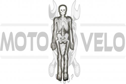 Наклейка декор SKELETON (29х10см) (#0072B)