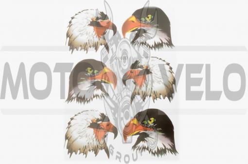 Наклейки (набор) EAGLE (28х20см) (#0060)