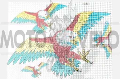 Наклейки (набор) EAGLE (30х22см) (#0061A)