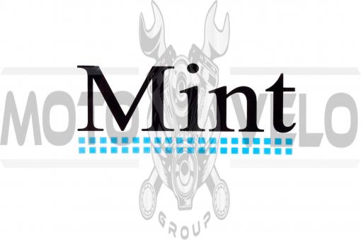 Наклейки (набор) MINT (13х5.5см) (#1264)