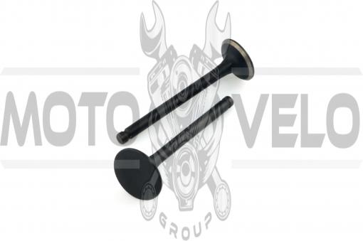 Клапаны (пара, голые) Delta 70 (L-66.5mm) MANLE