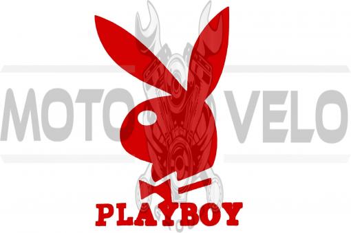 Наклейка логотип PLAYBOY (11x8см, красная) (#647)