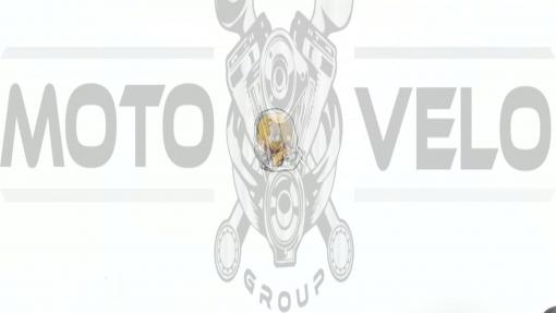 Наклейка   декор   LION   (8х6см, силикон)   (#SEA), шт