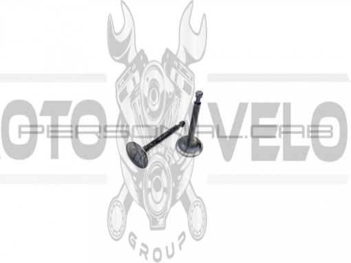 Клапаны (пара, голые) м/б   168F/170F   (6,5/7Hp)   EVO