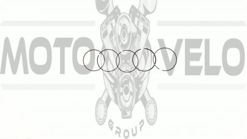 Кольца   Active 110   .STD   (Ø52,40)   SUNY   (mod.A)