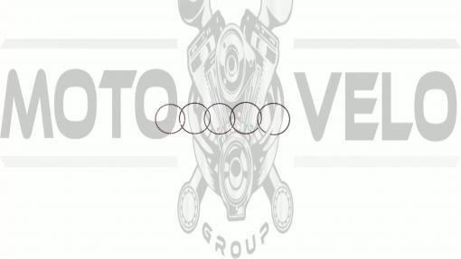 Кольца   Delta 50   0,25   (Ø39,25)   SUNY   (mod.B)