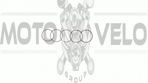 Кольца   Delta 70   0,75   (Ø47,75)   SUNY   (mod.B)