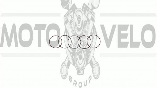 Кольца   Delta 90   1,00   (Ø48,00)   SUNY   (mod.B)