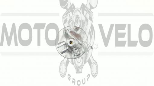 Крышка барабана тормозного   (перед)   Delta   EVO-1