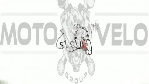 Наклейка   декор   DOG   (12x9cм, черно-красная, правая)   (#HQ007B-RR)