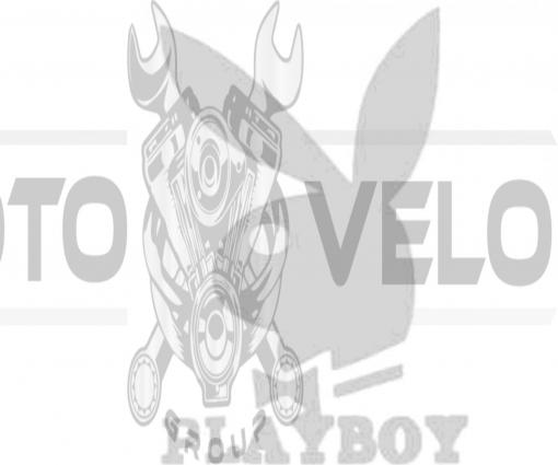 Наклейка   логотип   PLAYBOY   (16x11см, белая)   (#647)