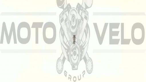 Палец поршня б/п   ДРУЖБА   (12 * 40mm)   EVO