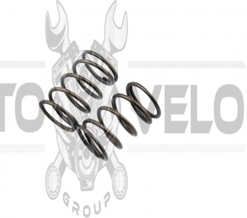 Пружины клапанов м/б   168F/170F   (6,5/7Hp)   EVO