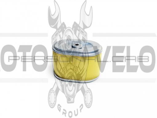 Элемент воздушного фильтра м/б   168F/170F   (6,5/7Hp)   EVO